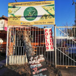 AF1QipMDJFl Qo3OjXTSMslU62skFax7C7MN71738F7Lw519 h240 k no