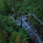 AF1QipMDNigMjA2HDOAFjf vo70PoG3pR7I73AMO mGzw408 h272 k no