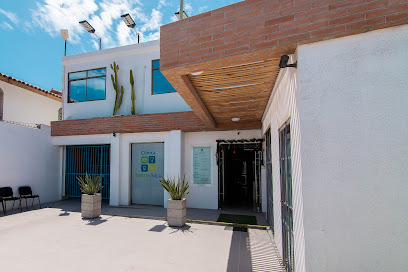 AF1QipN1NSPn hpkDkHvjaoPLmGdWLdOMg5A1YHf0SPSw408 h272 k no