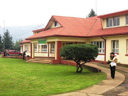 AF1QipNDPGdjo CCRmjKVFESFAG5fJ8Y5Q5FWD5iSS8w408 h306 k no