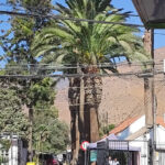 AF1QipNV2YH8QIcZXE8XQdRFaxxzkYKZx2FKg1O VDxzw408 h544 k no