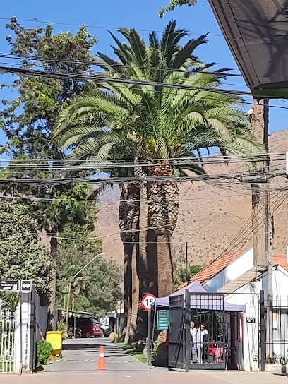 AF1QipNV2YH8QIcZXE8XQdRFaxxzkYKZx2FKg1O VDxzw408 h544 k no