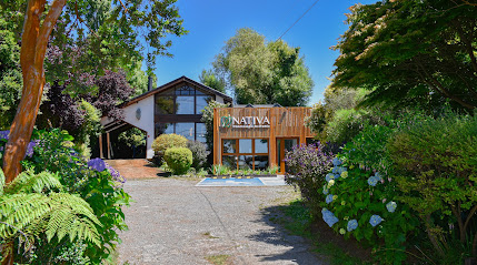 AF1QipOoIdHUhPBmdirp1ZKjWdSz H1a4Vd1o1jqJ8jOw429 h240 k no