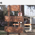 AF1QipOz n9AFAJEon6Ofy3K pHkKKvwI4ZzOj7NsVgMw408 h541 k no