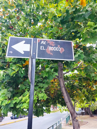 AF1QipPJ95Hmxt3qf8aBJlWPUK9ggn6OG7UgxvTmz88Sw408 h544 k no