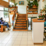 AF1QipPkkLB20 JkjO6v5PKXpbmByYXqYj D56wXgLXGw408 h265 k no